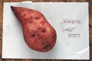 2008_09_25-japanese-sweet-p.jpg