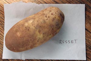 2008_09_25-russet-spud.jpg